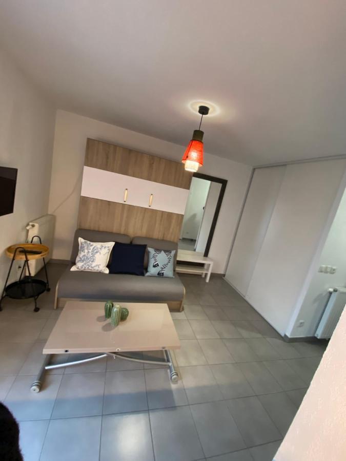 Studio Chic Little Boheme Proche Hopitaux, 15 Mn Du Centre ลียง ภายนอก รูปภาพ