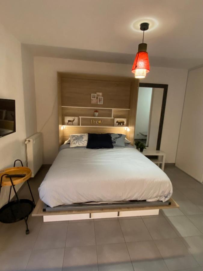 Studio Chic Little Boheme Proche Hopitaux, 15 Mn Du Centre ลียง ภายนอก รูปภาพ